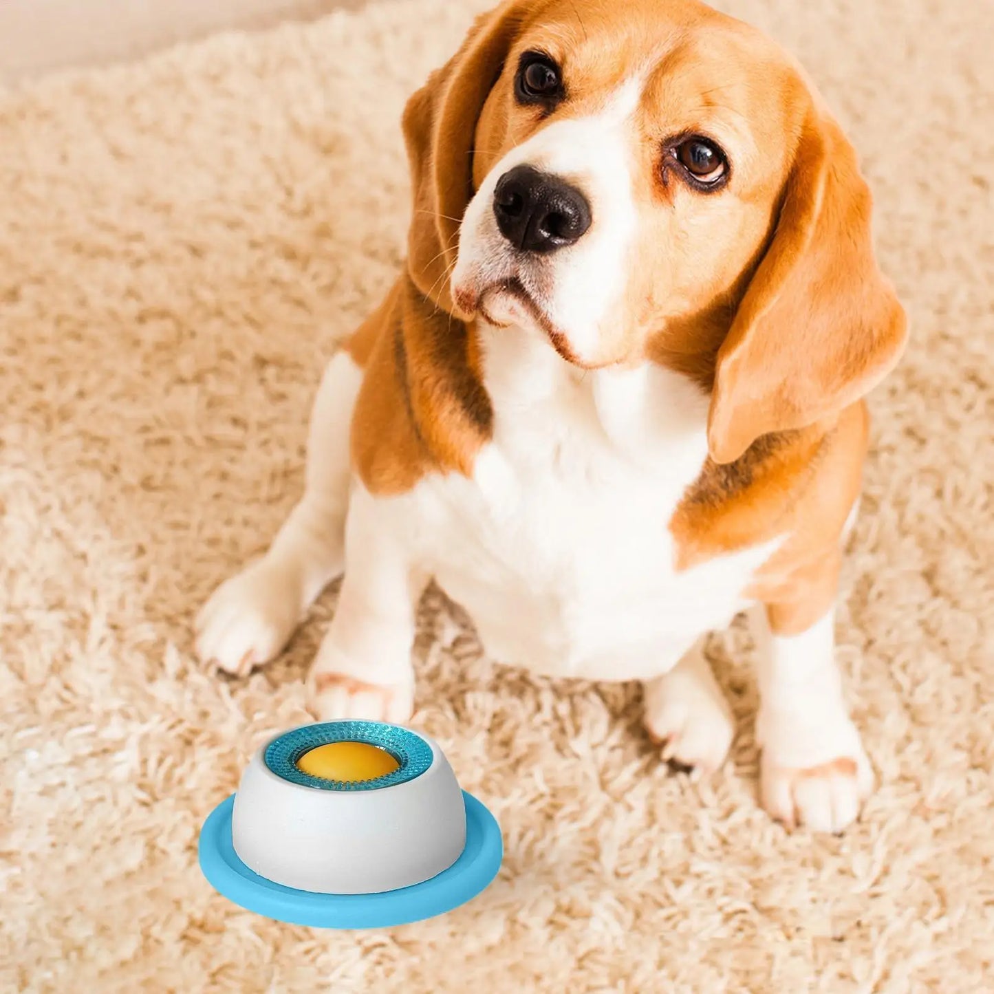 BrainPaws Slow Feeder Toy