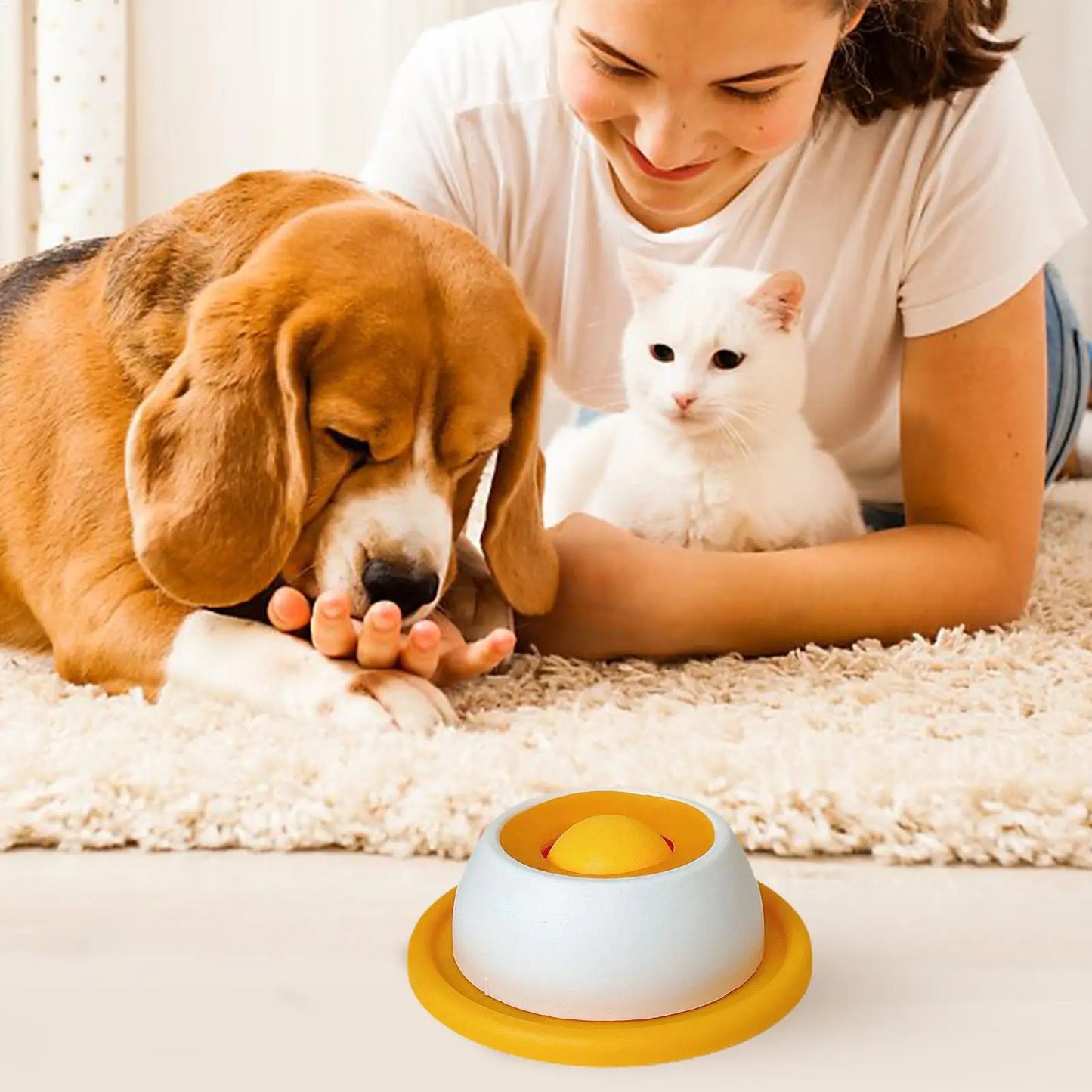 BrainPaws Slow Feeder Toy