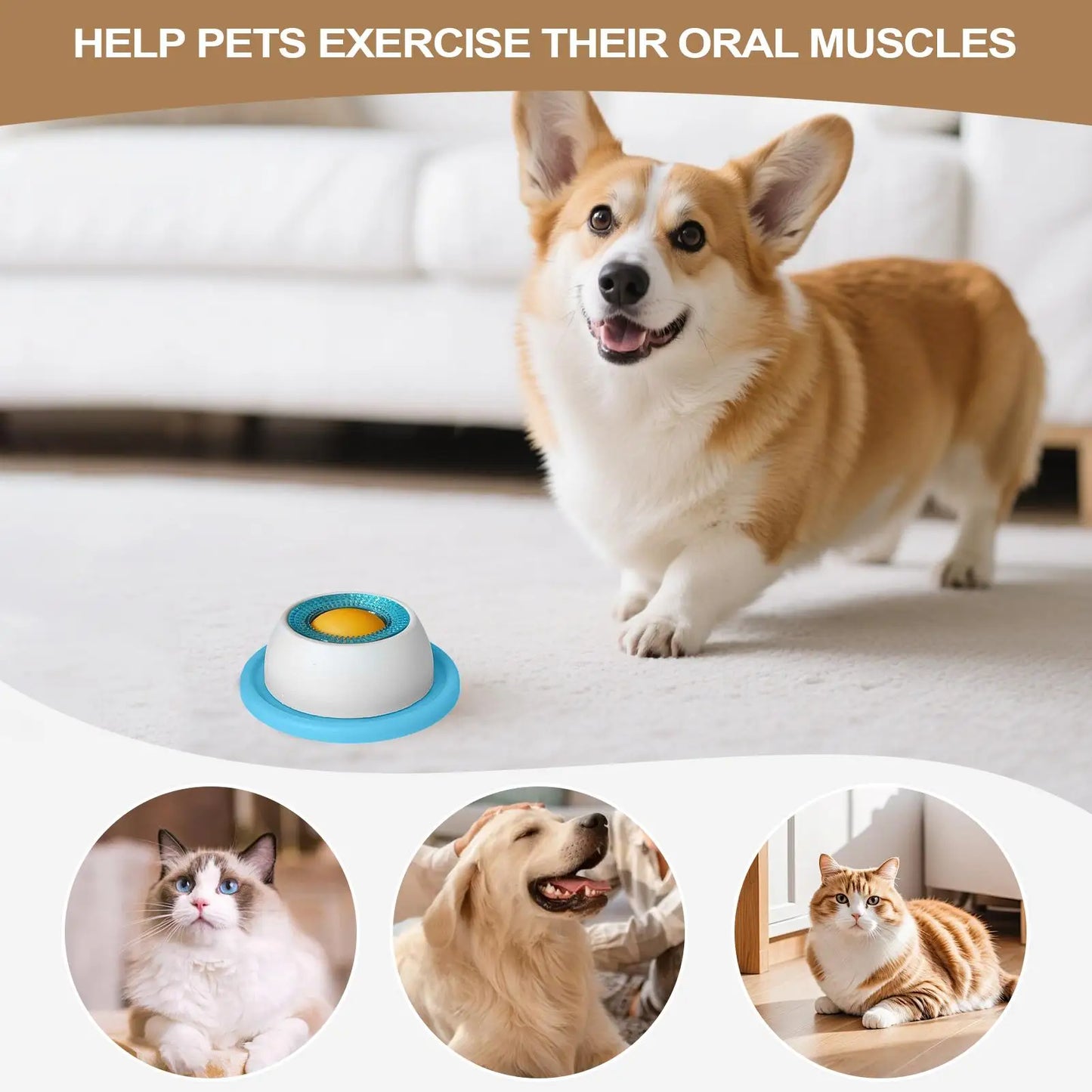 BrainPaws Slow Feeder Toy